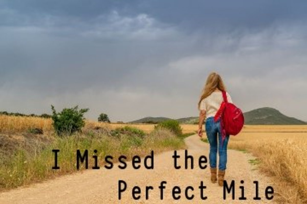 poem-i-missed-the-perfect-mile