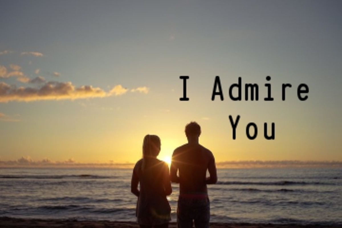 Poem: I Admire You For - LetterPile