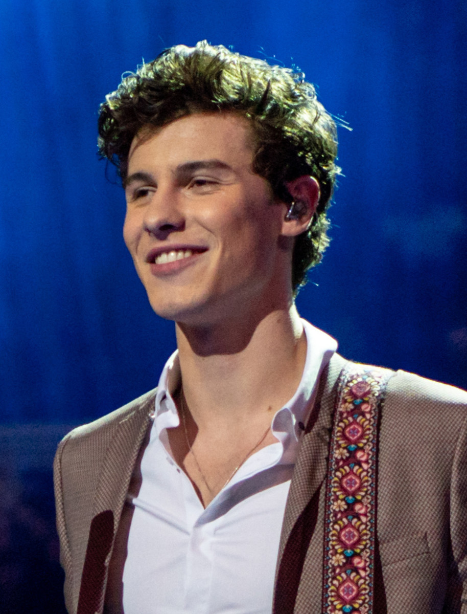Shawn Mendes is just one of a handful of artists who were discovered on YouTube before making it big.