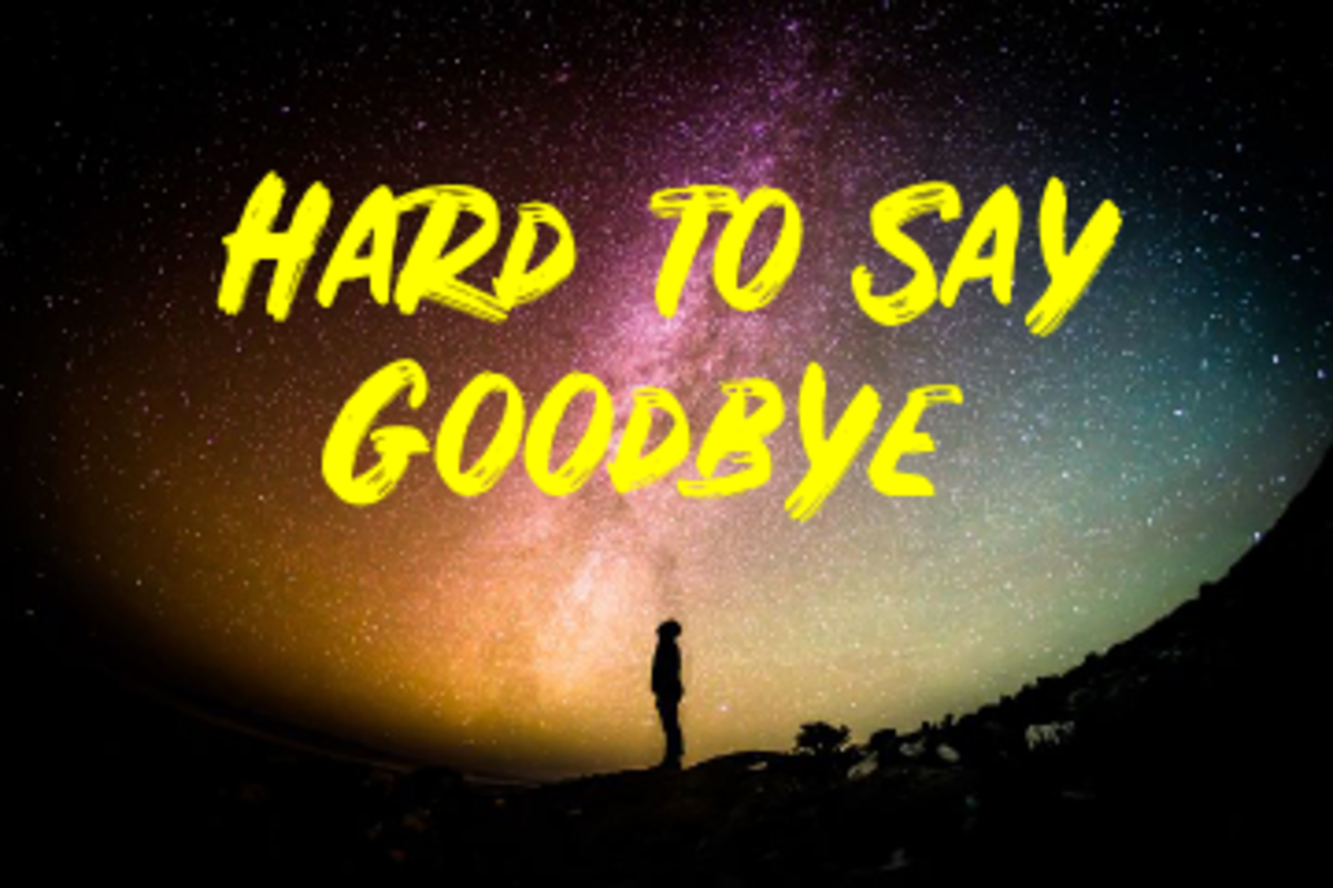 the hard goodbye