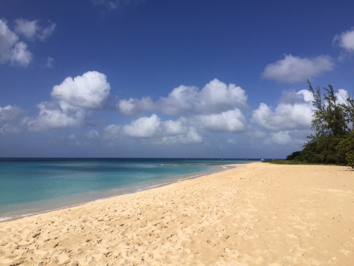 Who wouldn't want to work in Barbados?