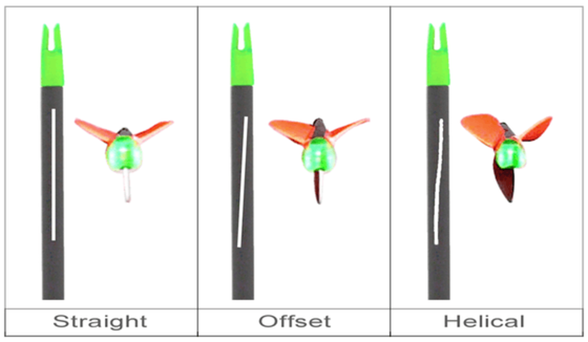 Different types of bolt fletching. 