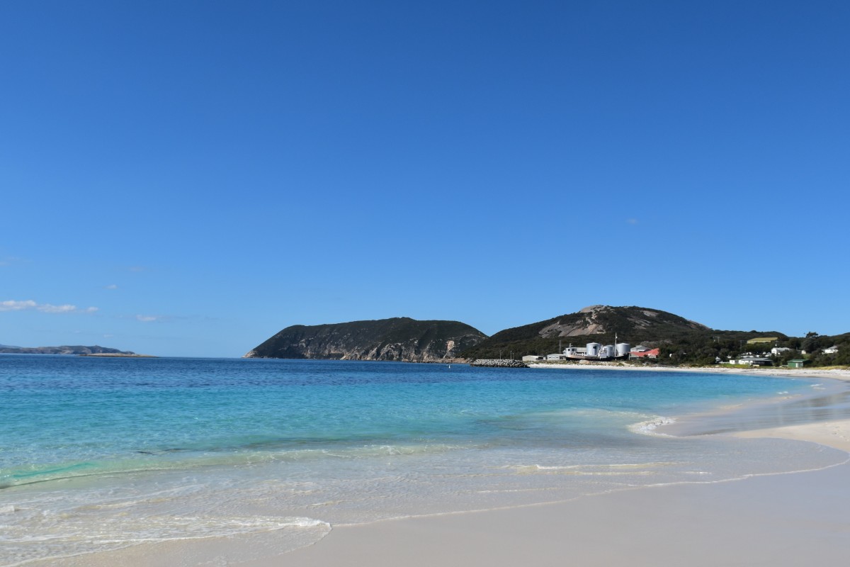 From Whaling to Whale Watching: Albany, Western Australia