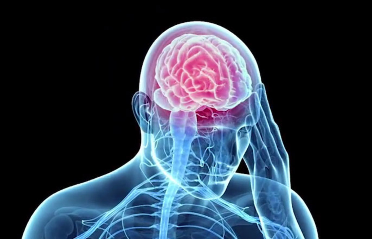 Traumatic Brain Injury and Its Effects on Students - Owlcation