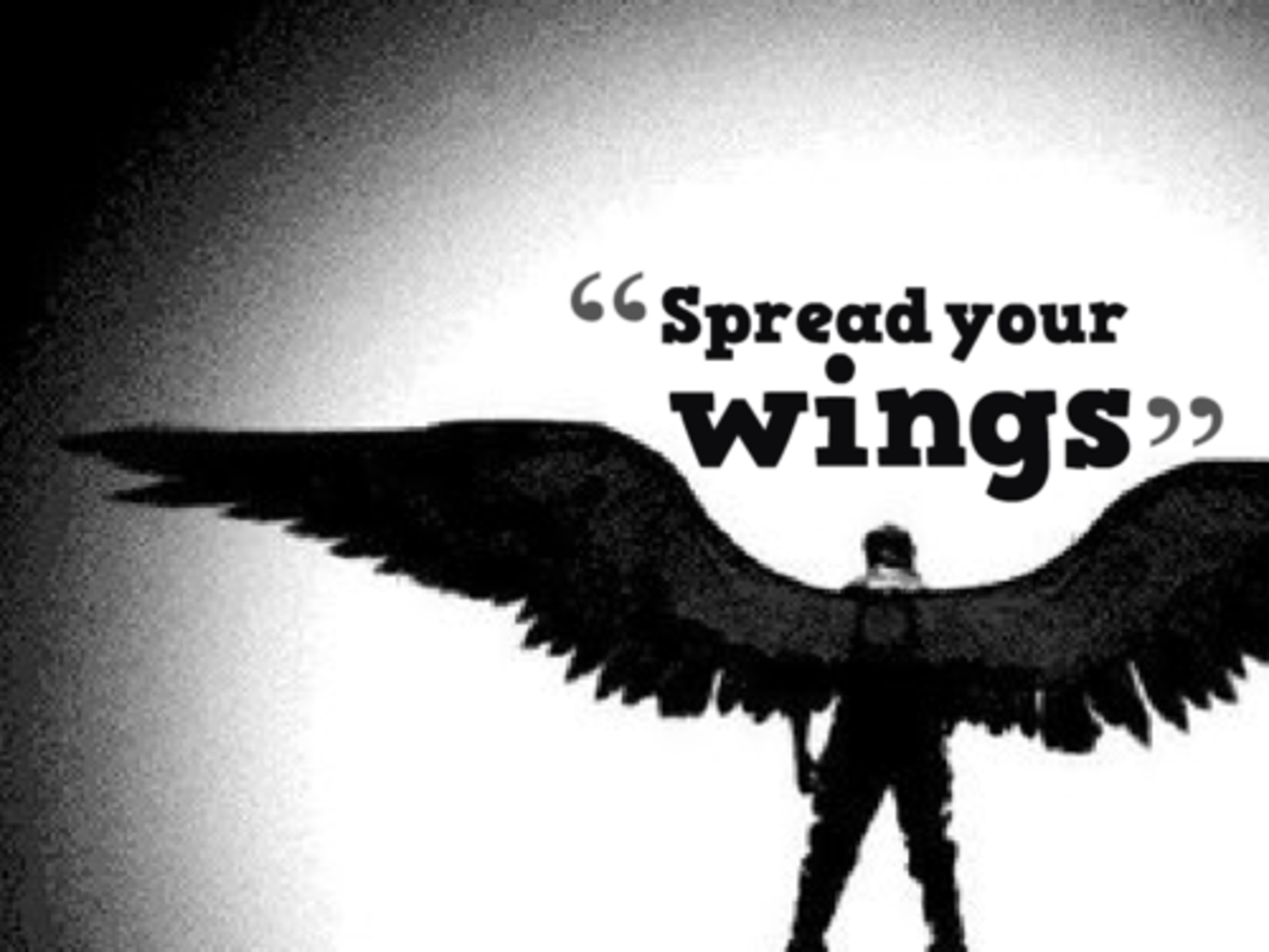 spread-your-wings