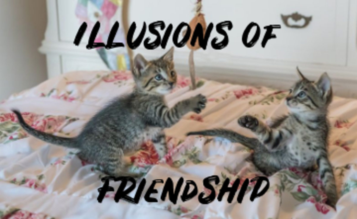 poem-illusion-of-friendship
