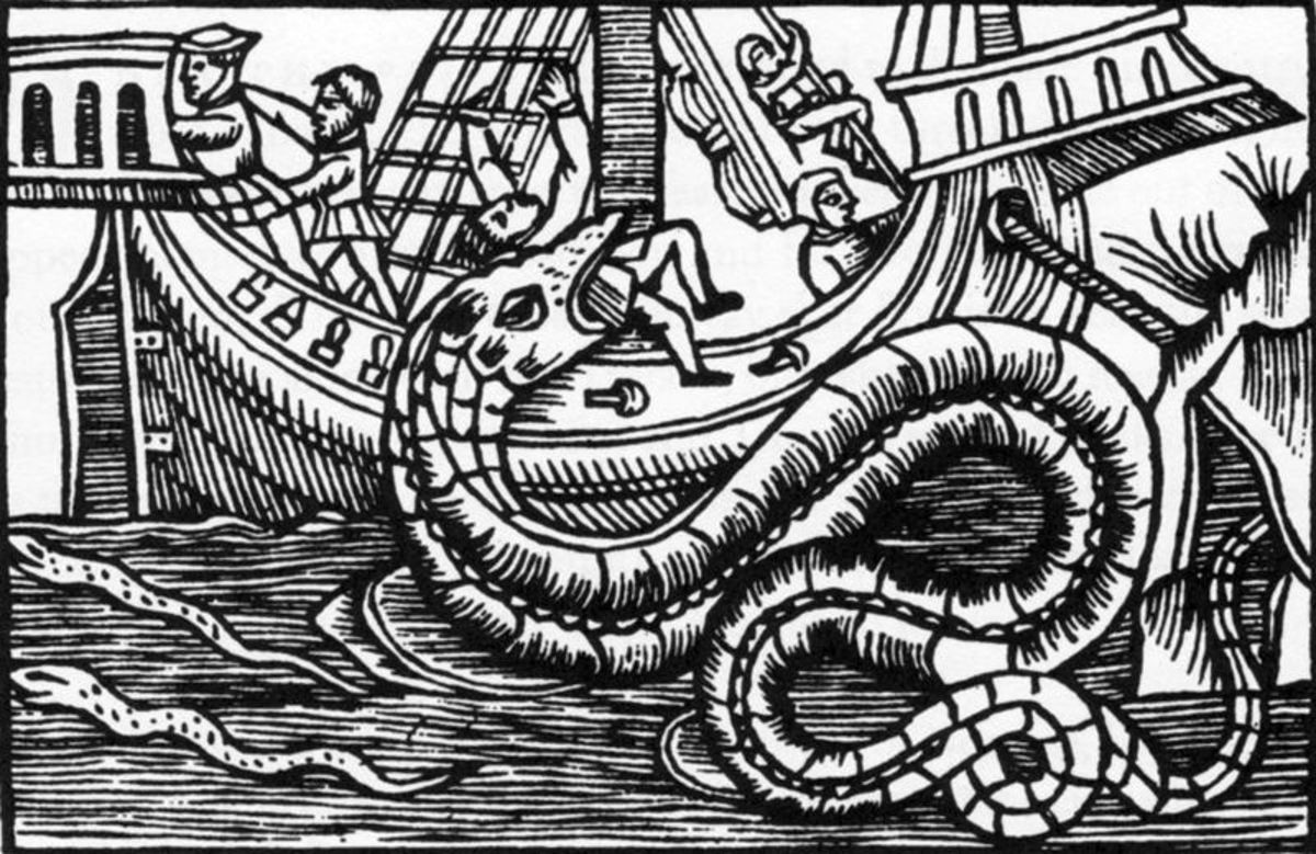 Oudemans's search for the legendary sea serpent led him to suggest sightings were due to a strange, rare seal.  