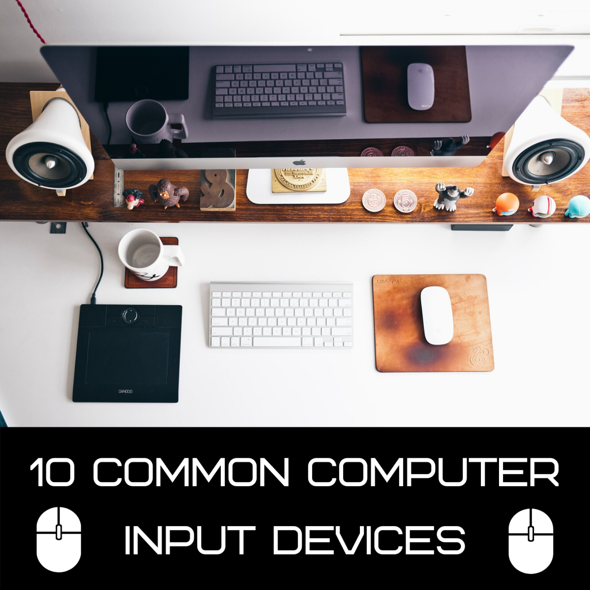 Computer Basics: What Is an Input Device? 10 Examples - TurboFuture