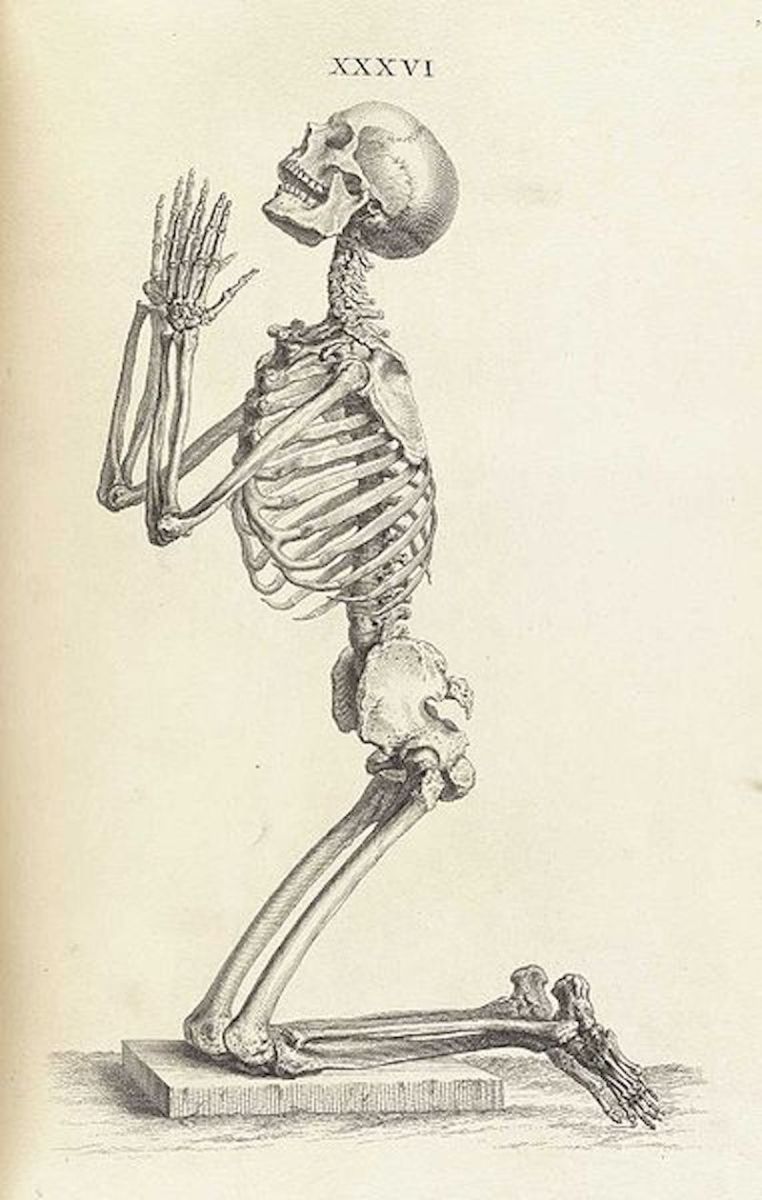 Skeleton Praying