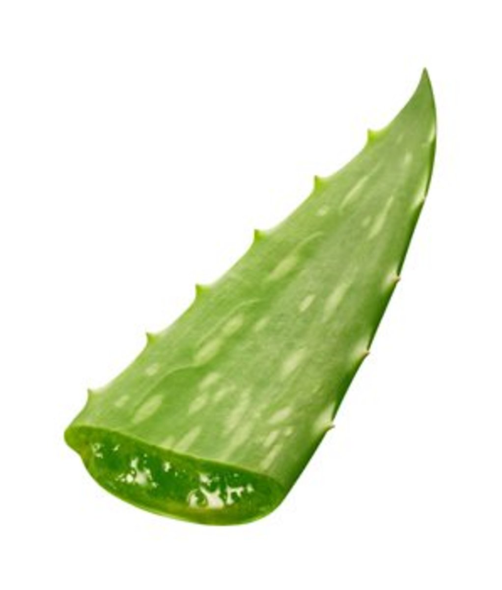 Aloe vera can help your skin regenerate damaged tissue. 