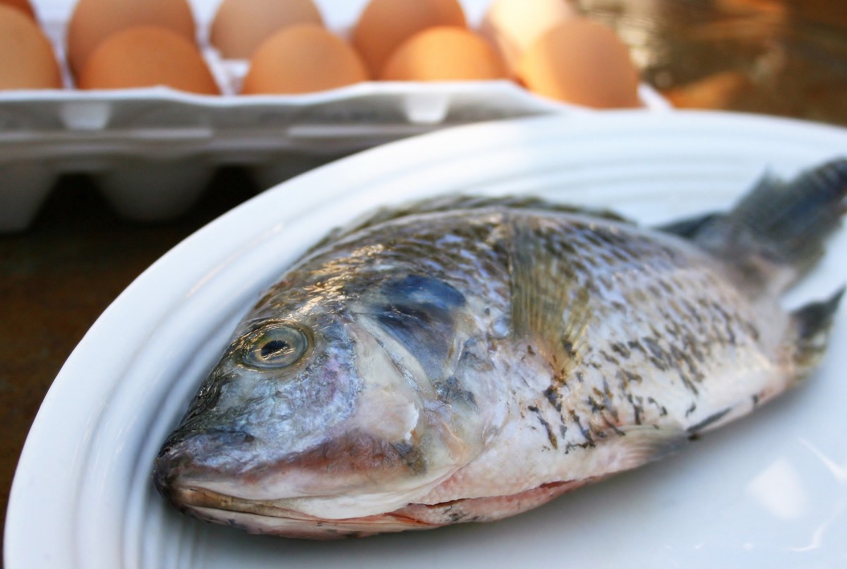 Fish and eggs are high in choline. 