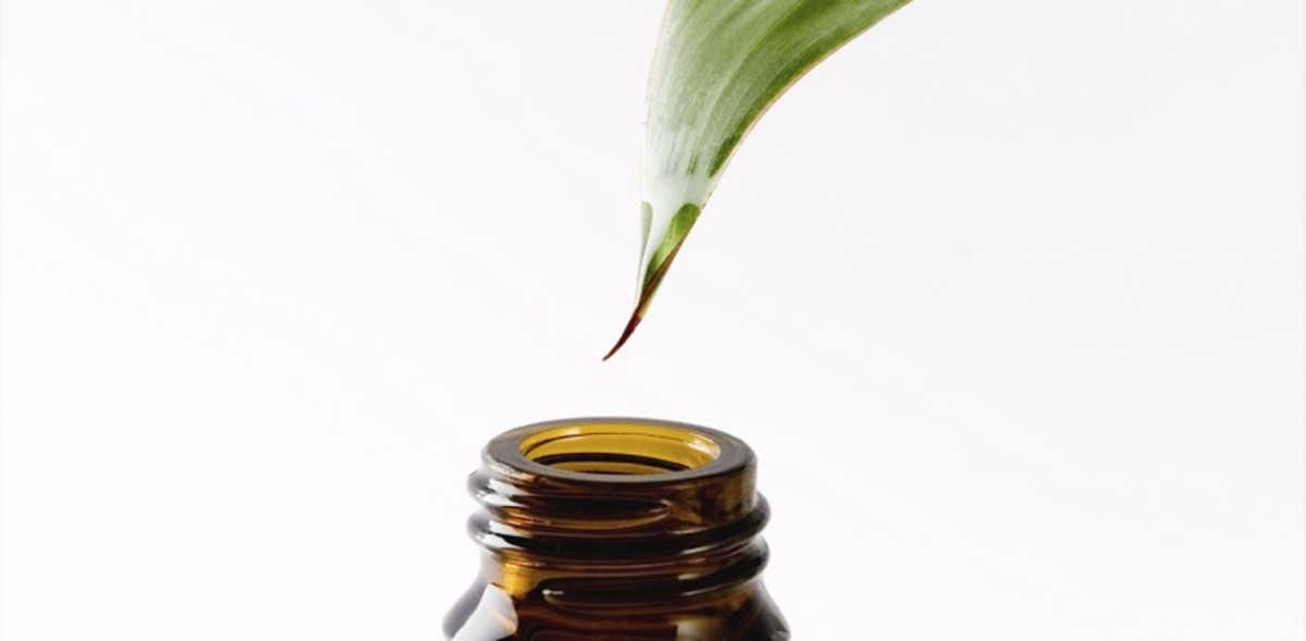 The antibacterial properties of tea tree oil can help guard your facial skin against future breakouts. 