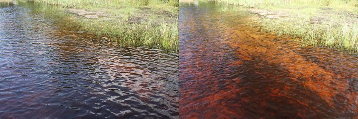 Water in lake Czarne, Marki, Poland.  Photo on the right taken with polarization filter, on the left without polarization filter.
