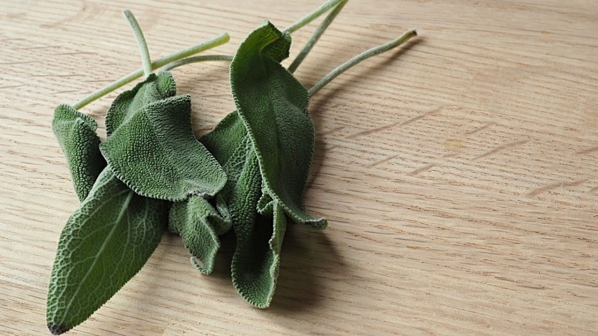 Sage is used in cooking and as an incense, but did you know it can also help darken your hair?