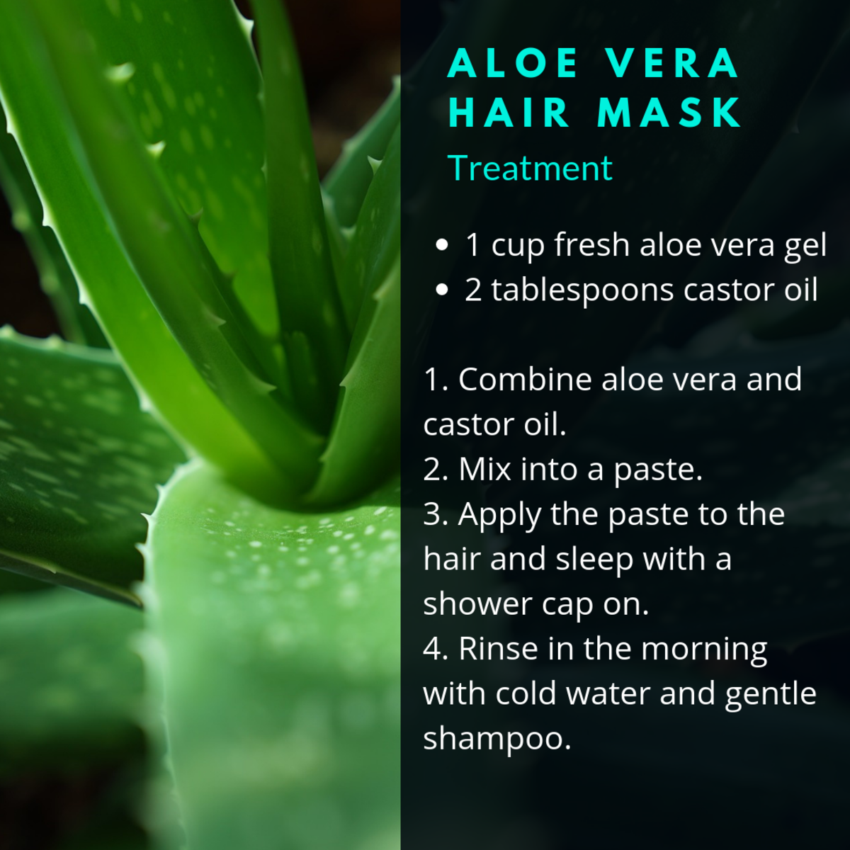 Aloe very helps to a hydrate a dry scalp.