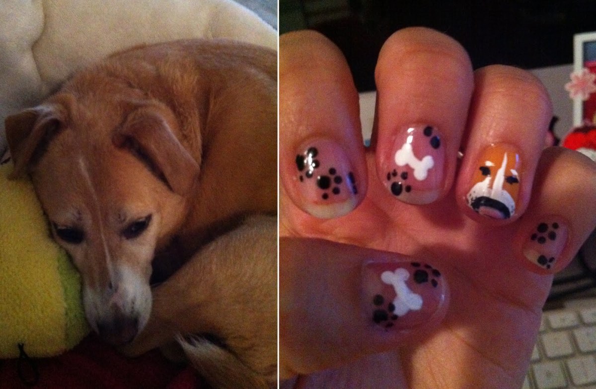 Pet dog nail art design