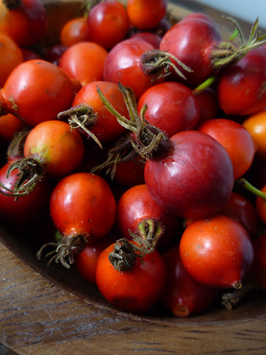 Rosehips are a perfect ingredient if your skin becomes more dehydrated due to climatic changes, hormonal changes or medication.