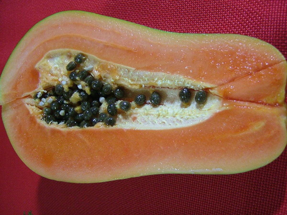 Papaya can be a useful ingredient for oily skin recipes.