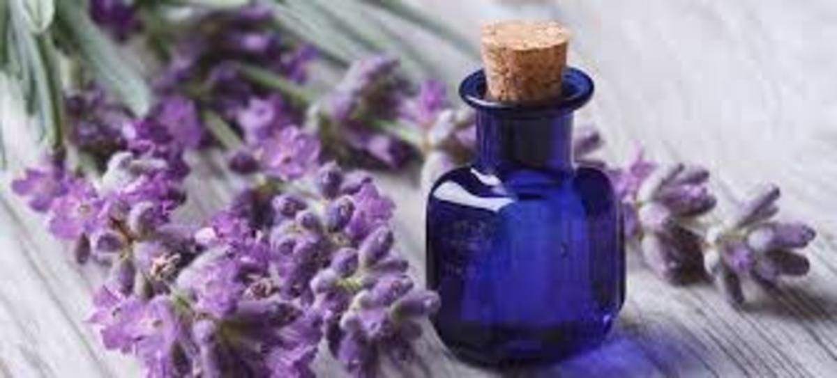 Lavender is one of my favorite essential oils. It is so calming and soothing to the skin.