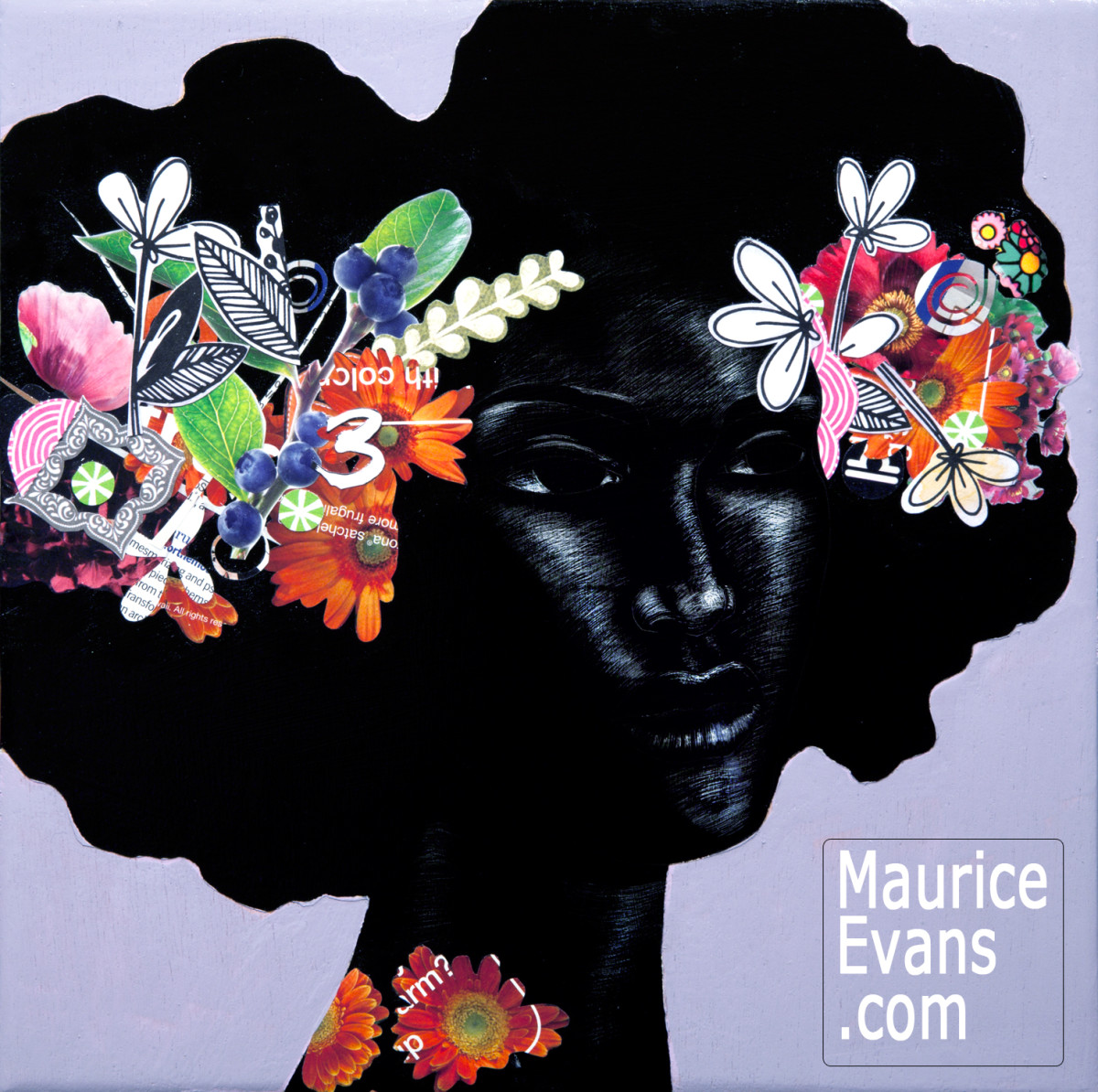 a-celebration-of-black-hair-with-artist-maurice-evans