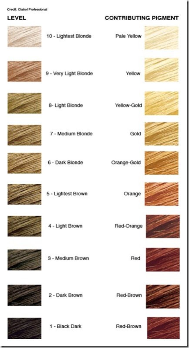 Hair color levels