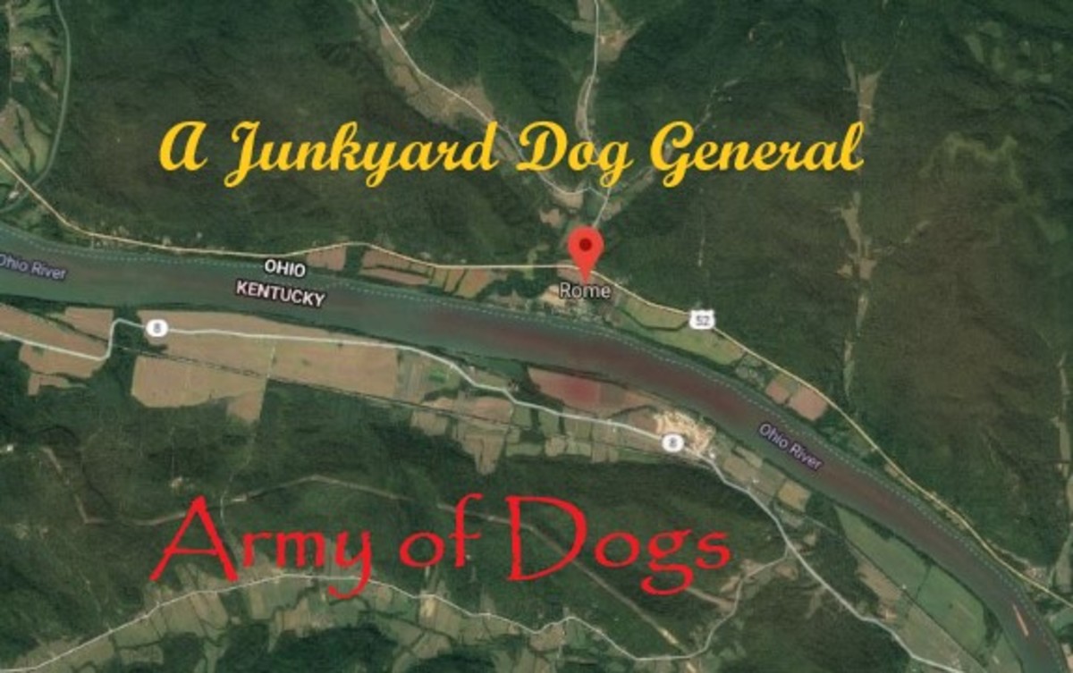A Junkyard Dog General: The Army of Dogs, Toe and Her