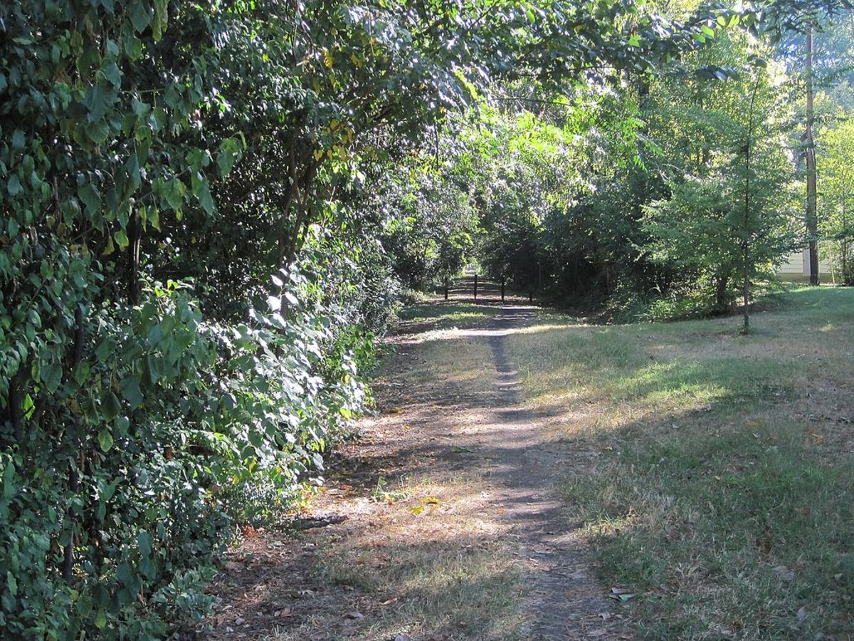 Shelby County's Urban Trails: Exercise and Get Back to Nature