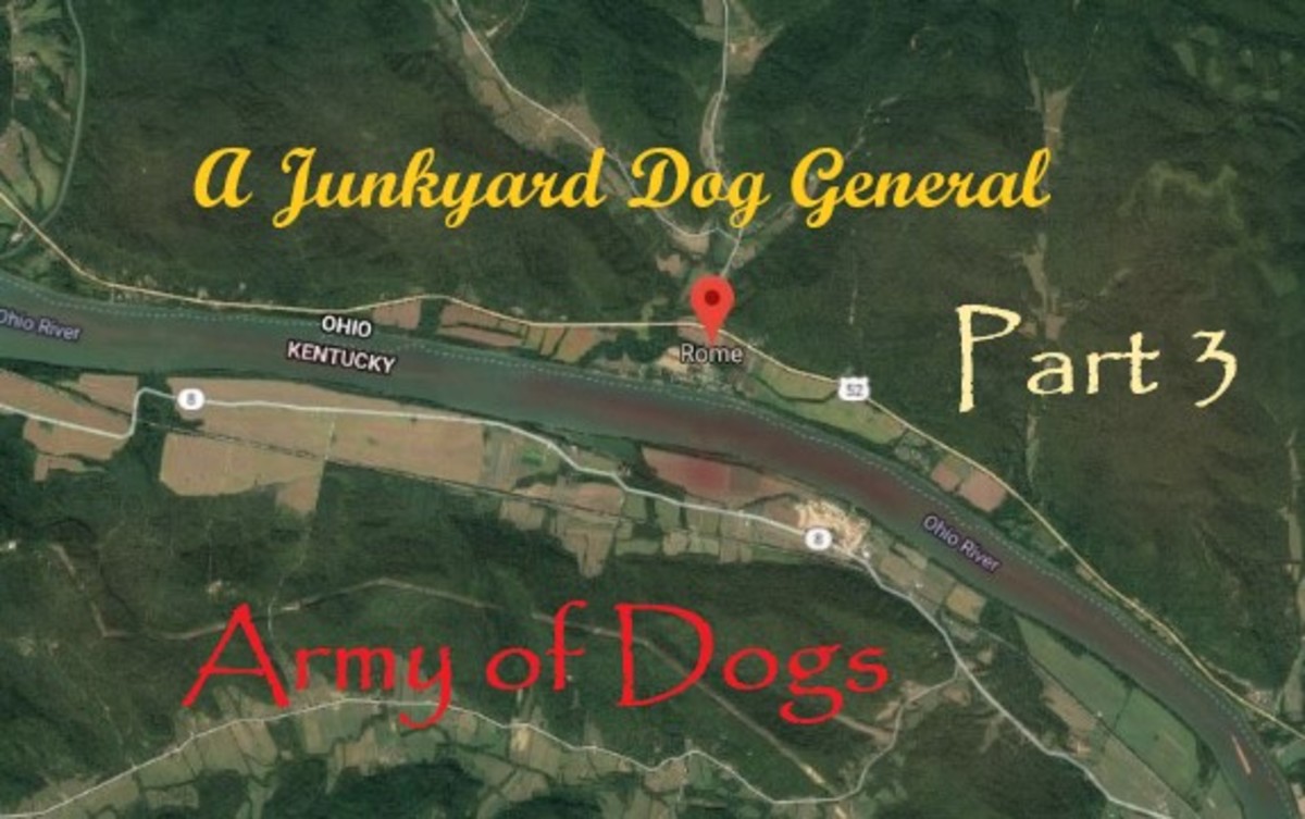 a-junkyard-dog-general-the-army-of-dogs-part-three