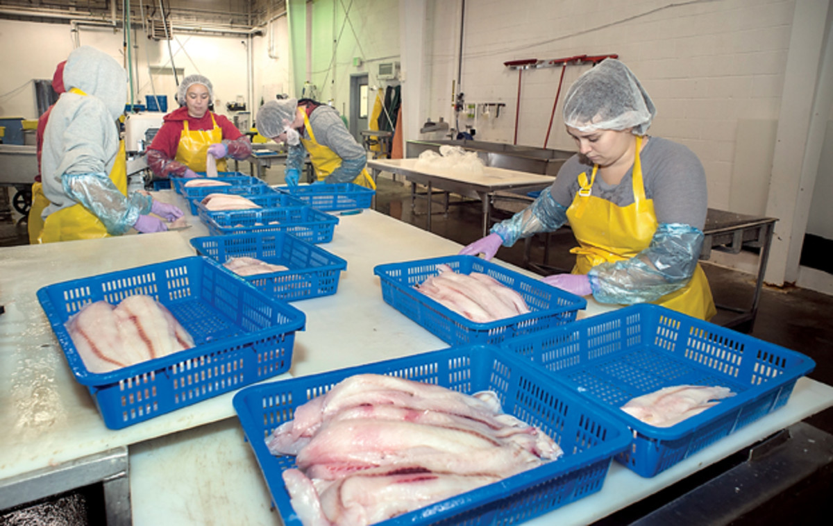 Top 7 Alaska Seafood Processing Jobs Hiring for Summer 2022