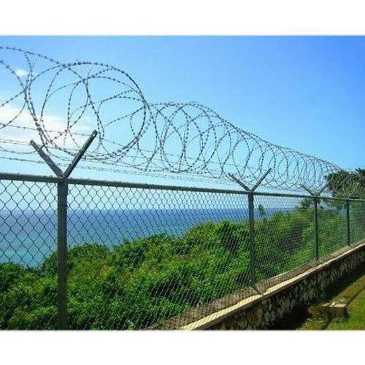 barbed-fence