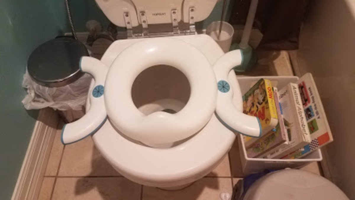 XOX Tot 2-in-1 Go Potty is the best potty training tool I have found!  