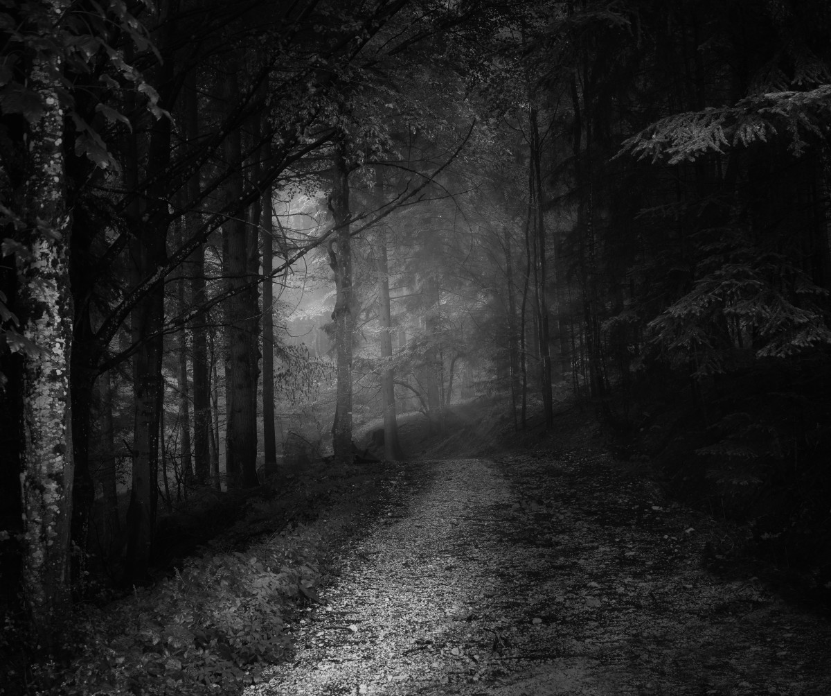 The Quarreling Means - A Novella (Chp 4)