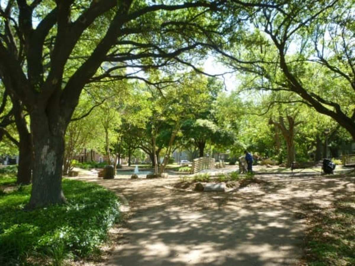 Bell Park: A Charming Urban Oasis in Houston, Texas