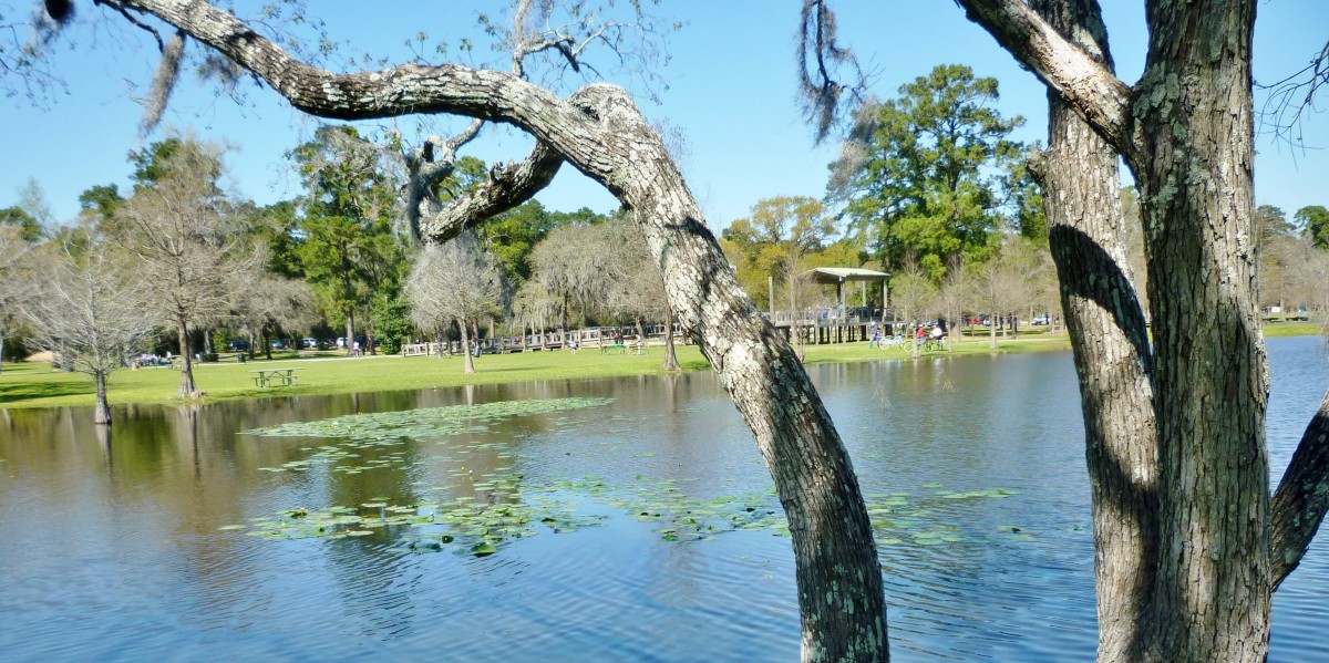 Burroughs Park A Fabulous 320Acre Park in Tomball, Texas