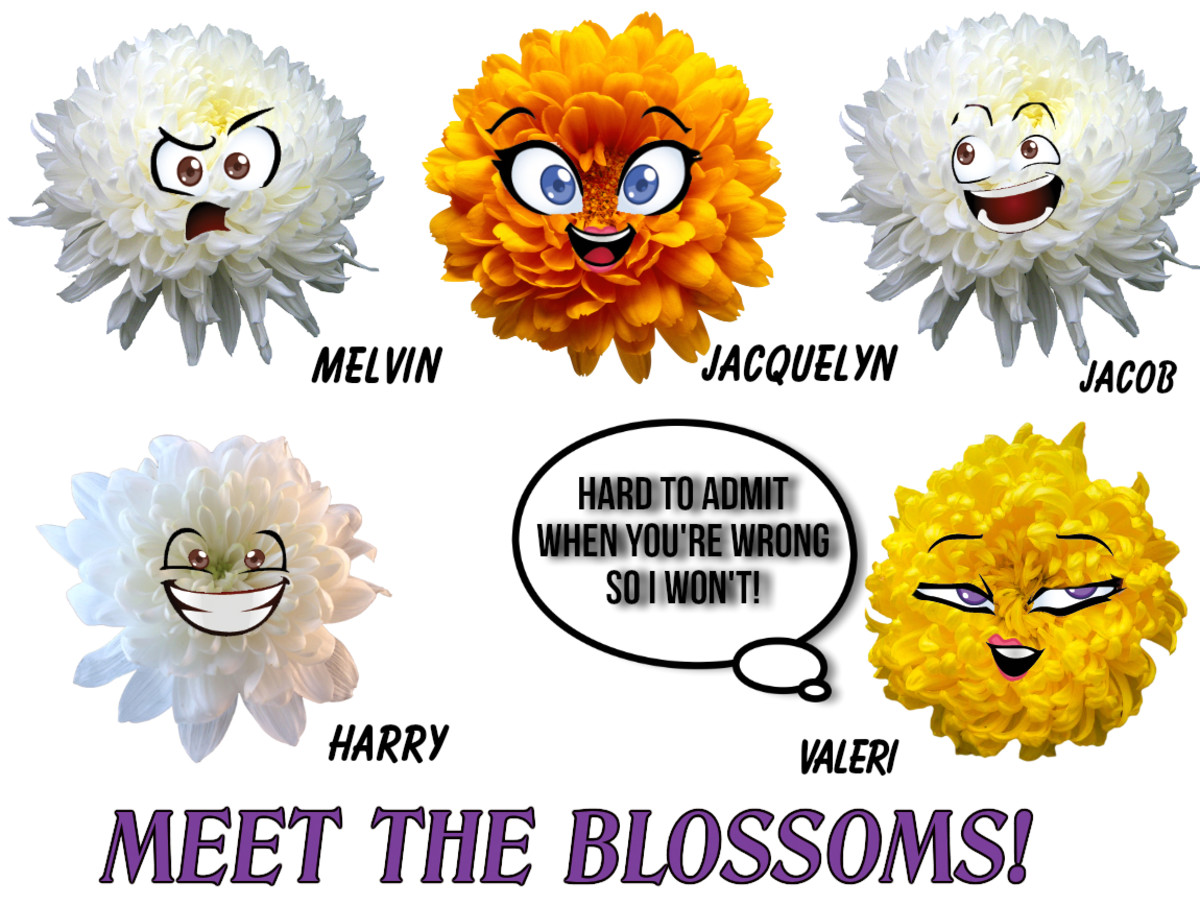 Meet the Blossoms 6