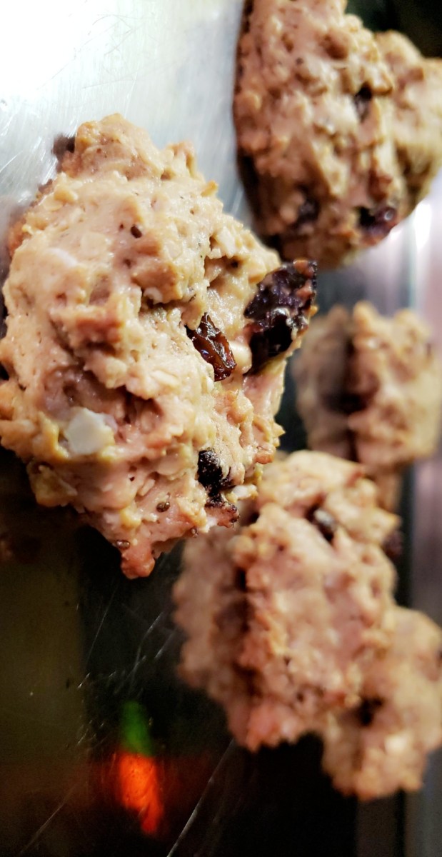Healthy Lactation Cookie Recipe (Egg- and Dairy-Free)