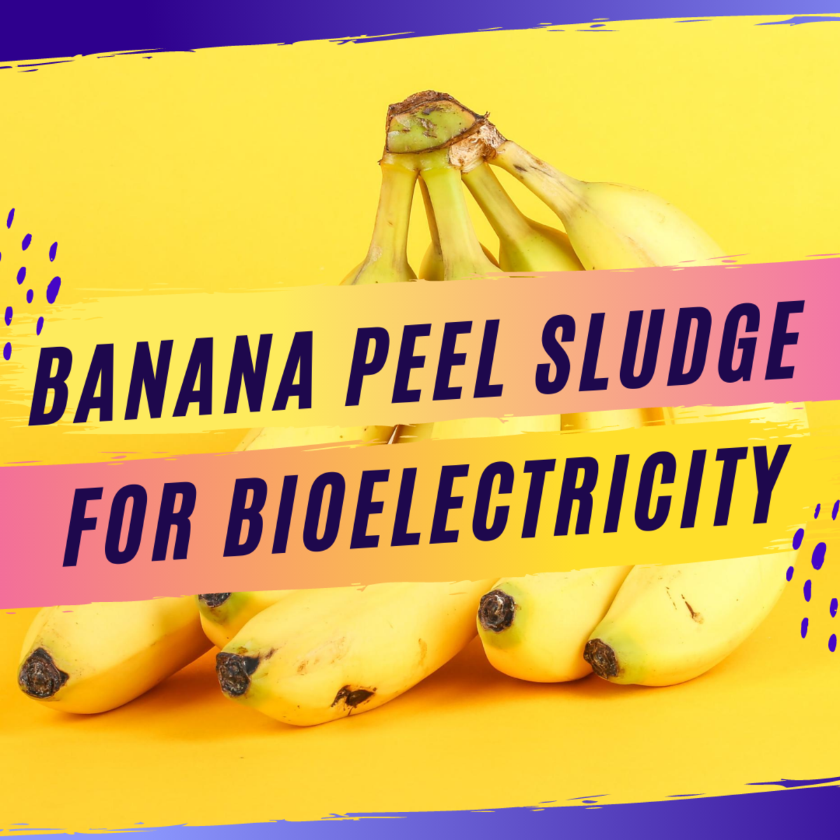 Can banana peel sludge be used for bioelectricity?