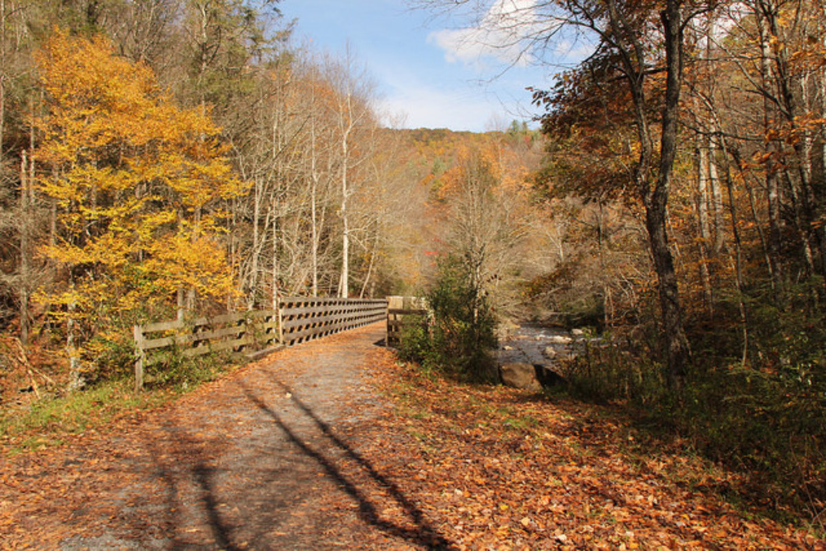 a-great-family-activity-rail-trails-for-biking-wehavekids