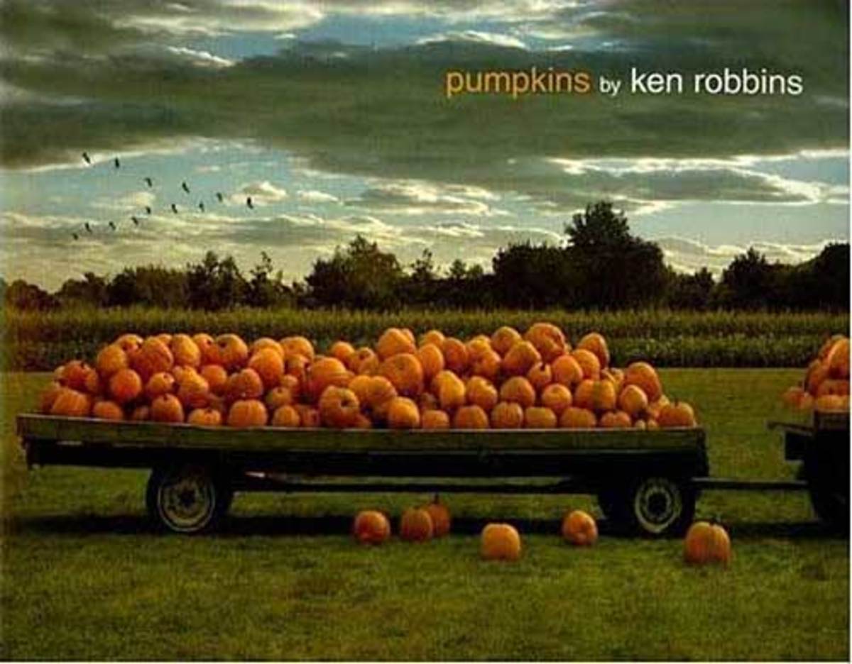 Pumpkins by Ken Robbins