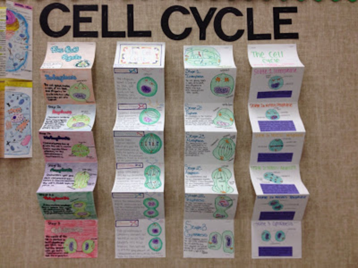 cell-lapbook