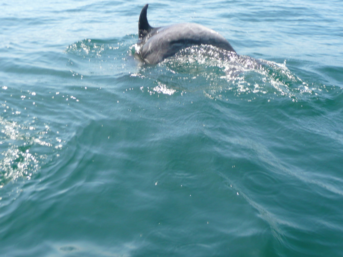 Safety Tips When Taking Your Baby Swimming WeHaveKids