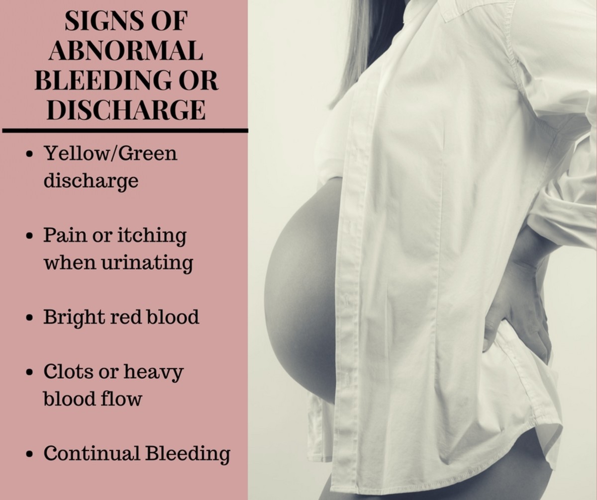 An Explanation Of Bleeding And Spotting During Pregnancy WeHaveKids