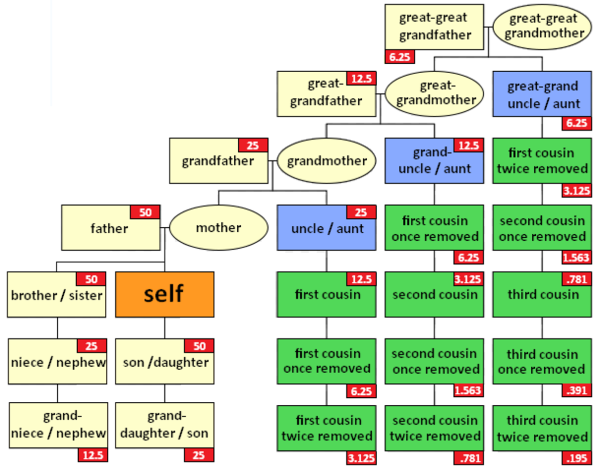 What Is A Second Cousin Twice Removed This Chart Explains It All 