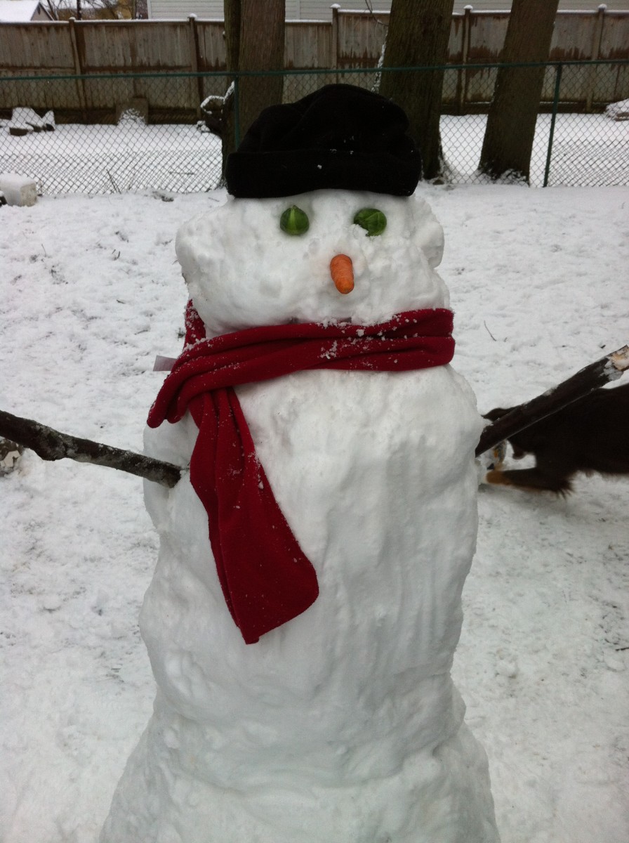 winter outdoor activities kids on Top 5 Cheap And Fun Outdoor Winter Activities For Families Wehavekids