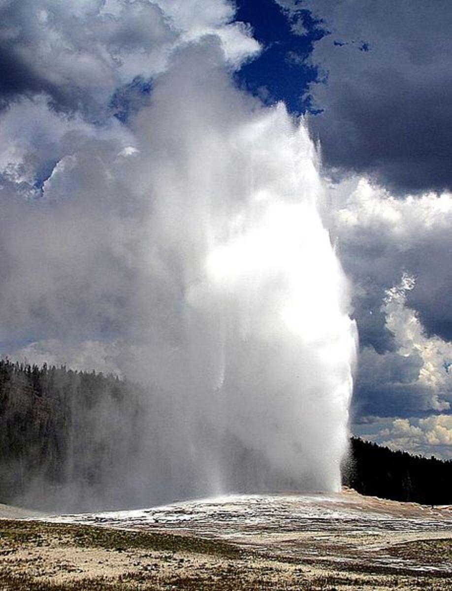 Archaebacteria can survive in extreme environments like geysers