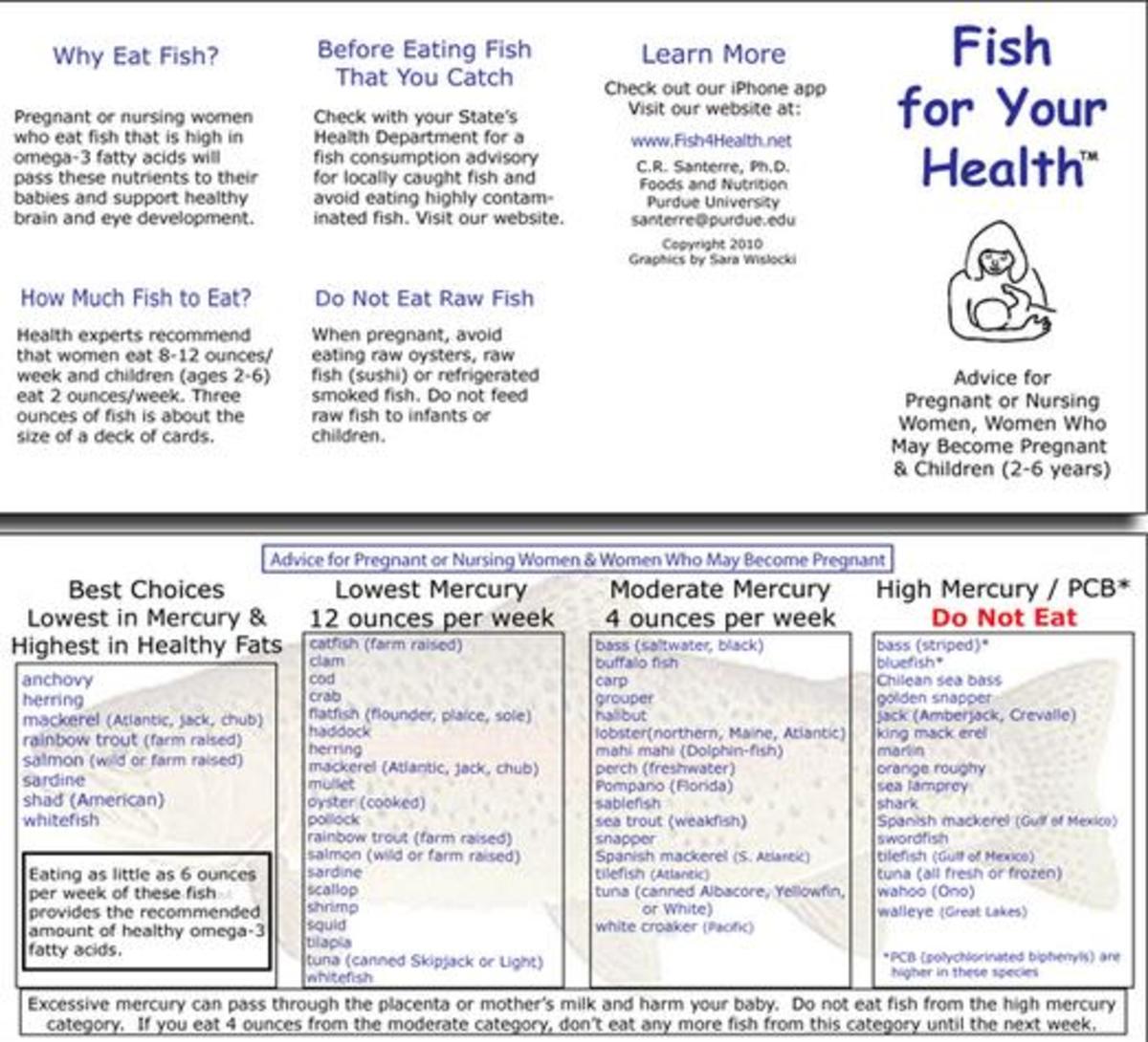 Click on this link to get your free printable wallet card on safe fish to eat during conception and pregnancy.