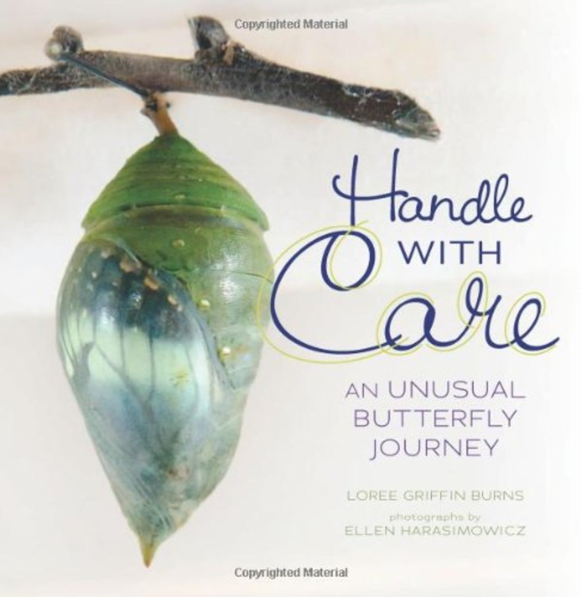 Handle with Care: an Unusual Butterfly Journey