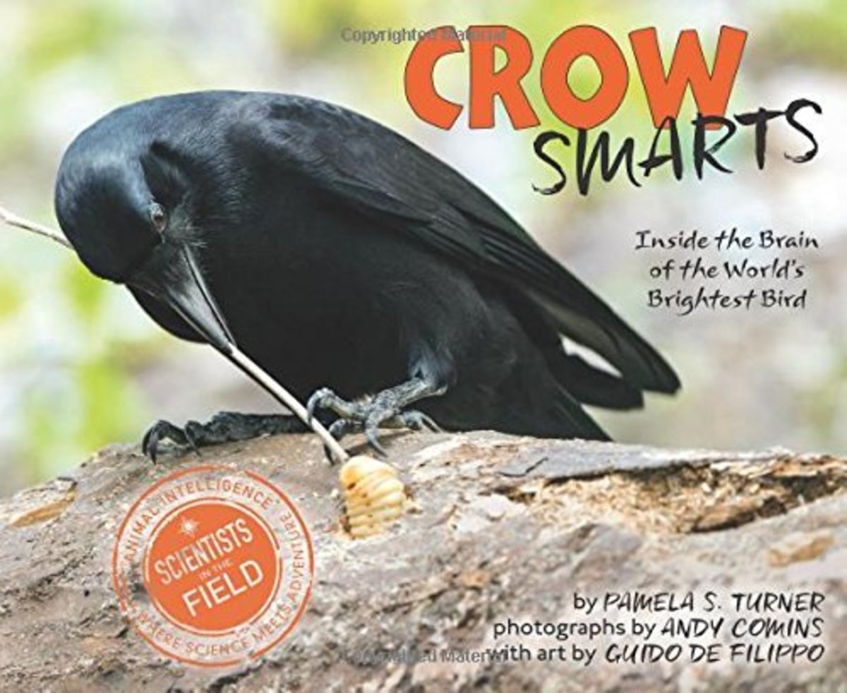 Crow Smarts
