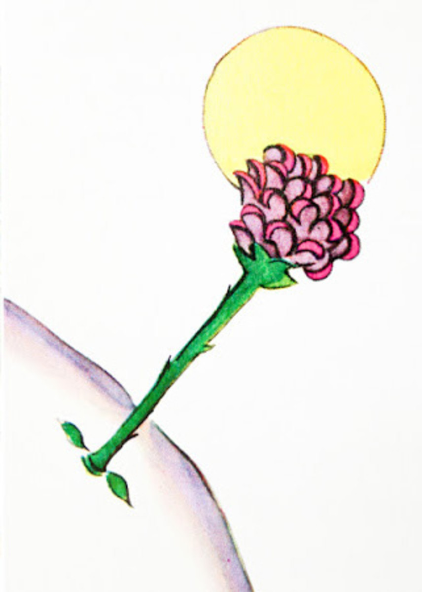 the little prince's flower