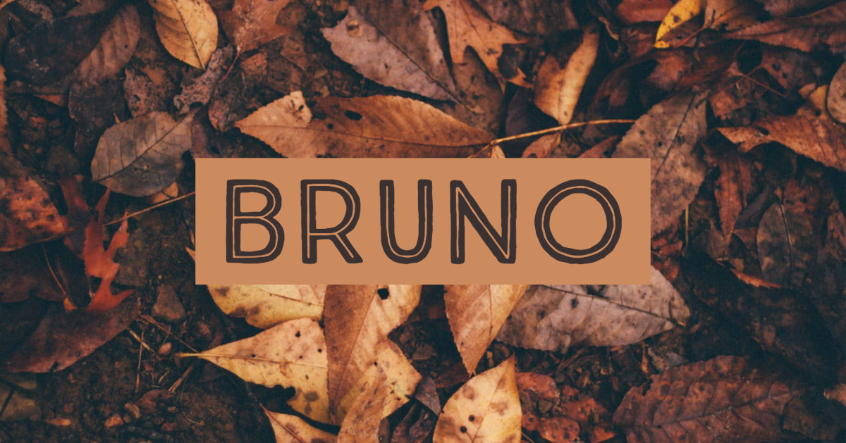 A German name meaning "brown," Bruno is the name of several Catholic saints.